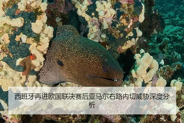 西班牙再进欧国联决赛后亚马尔右路内切威胁深度分析